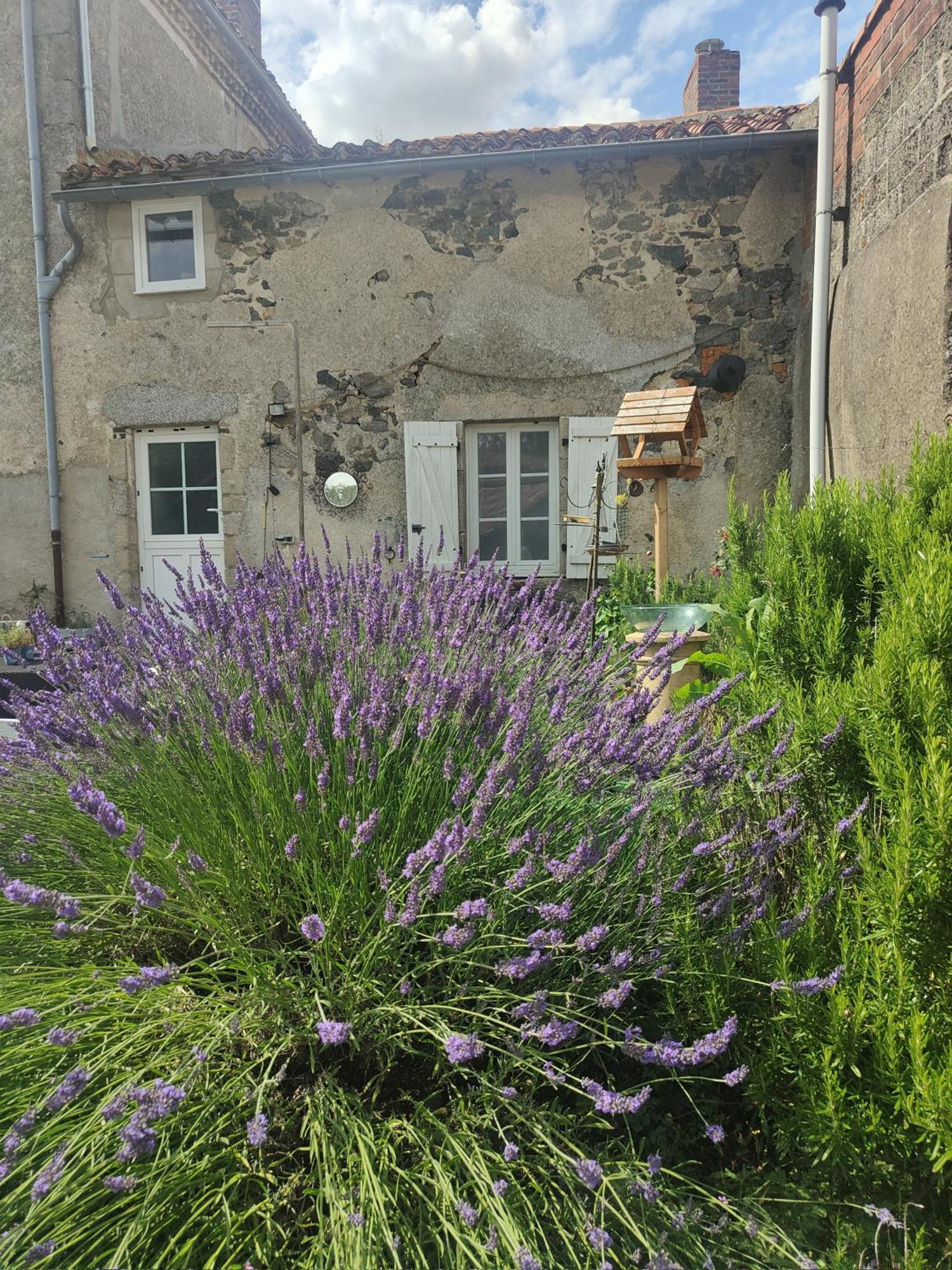 Bed and Breakfast Wisteria House Chanteloup  Zewnętrze zdjęcie