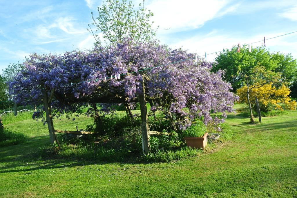 Bed and Breakfast Wisteria House Chanteloup  Zewnętrze zdjęcie
